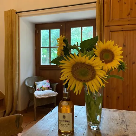 Idyllic Holidays In Rural Stunning French Countryside With Pool Apartment Antigny (Vienne)